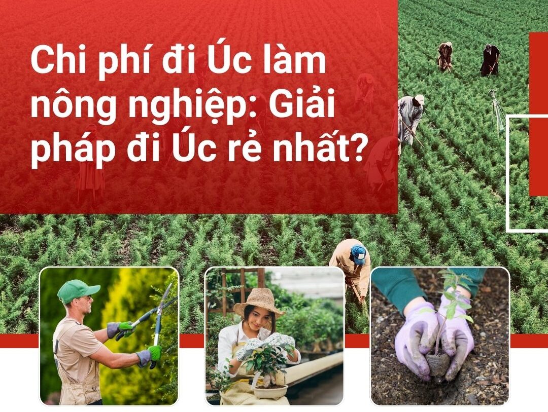 Chi phí đi Úc làm nông nghiệp là bao nhiêu ?