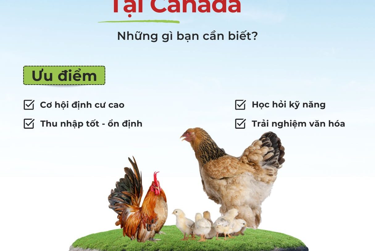 Làm farm tại Canada : Tất cả những điều bạn nên biết?