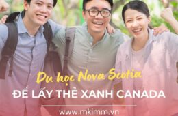 Lộ Trình Du Học Canada Tại Nova Scotia Để Lấy PR: Chương Trình Định Cư Canada Tối Ưu Trong Năm 2025