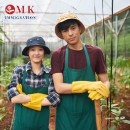 Hình minh họa làm farm 462 MKIMM