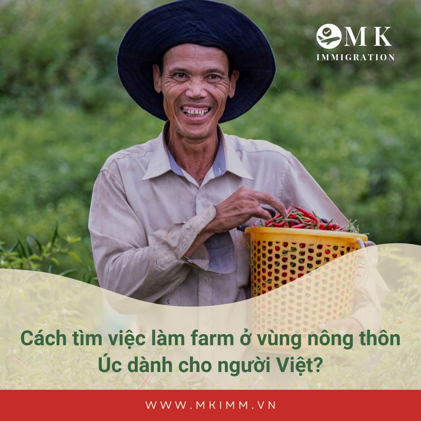 Cách tìm việc làm farm ở vùng nông thôn Úc dành cho người Việt?