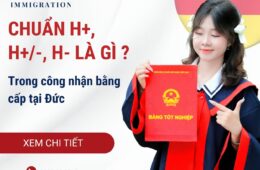 Giải thích về chuẩn H+, H+/- và H- trong công nhận bằng cấp tại Đức