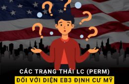 Các Trạng Thái LC (PERM) Đối Với Diện EB3 Định Cư Mỹ Thường Gặp