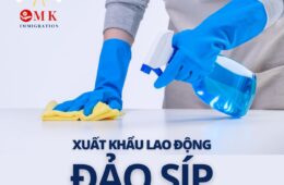 Xuất Khẩu Lao Động Đảo Síp có tiềm năng với người Việt? Cách tránh lừa đảo làm việc tại đảo Síp!