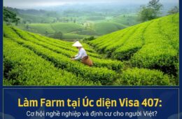 Làm Farm tại Úc diện Visa 407: Cơ hội nghề nghiệp và định cư cho người Việt?