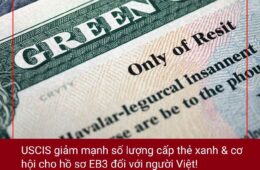 USCIS giảm mạnh số lượng cấp thẻ xanh: Cơ hội cho hồ sơ EB3 đối với người Việt!