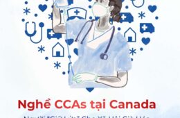 Nghề CCAs tại Canada: Người “Giữ Lửa” Cho Xã Hội Già Hóa