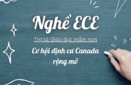 Nghề ECE Giáo Dục Mầm Non tại Canada: Người “Gieo Mầm” Tương Lai