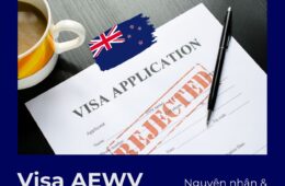 Visa AEWV New Zealand Bị Từ Chối: Phân Tích Nguyên Nhân & Giải Pháp Xử Lý?