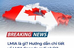 LMIA là gì? Hướng dẫn chi tiết về LMIA Canada mới nhất?