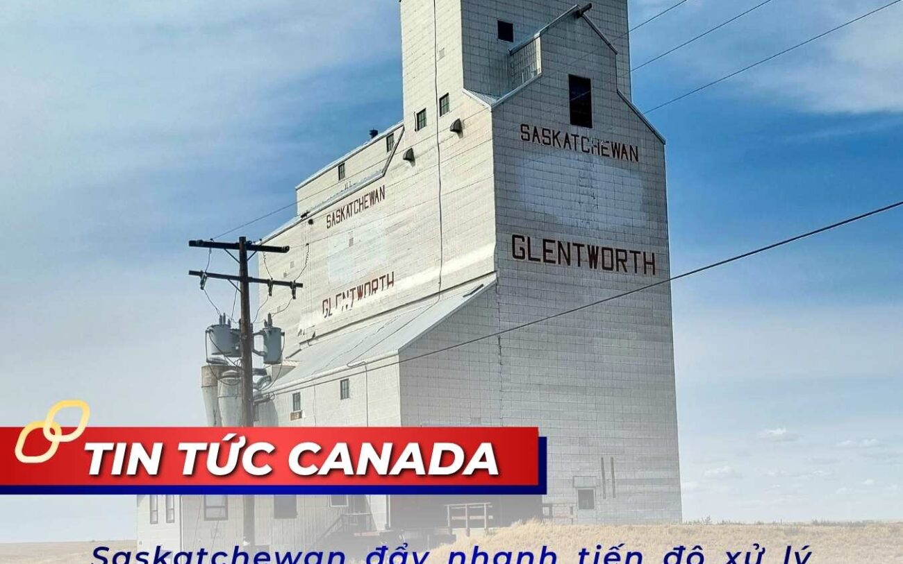 Saskatchewan đẩy nhanh tiến độ xử lý hồ sơ đề cử tỉnh bang trong Quý 2/2026
