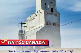 Saskatchewan đẩy nhanh tiến độ xử lý hồ sơ đề cử tỉnh bang trong Quý 2/2026